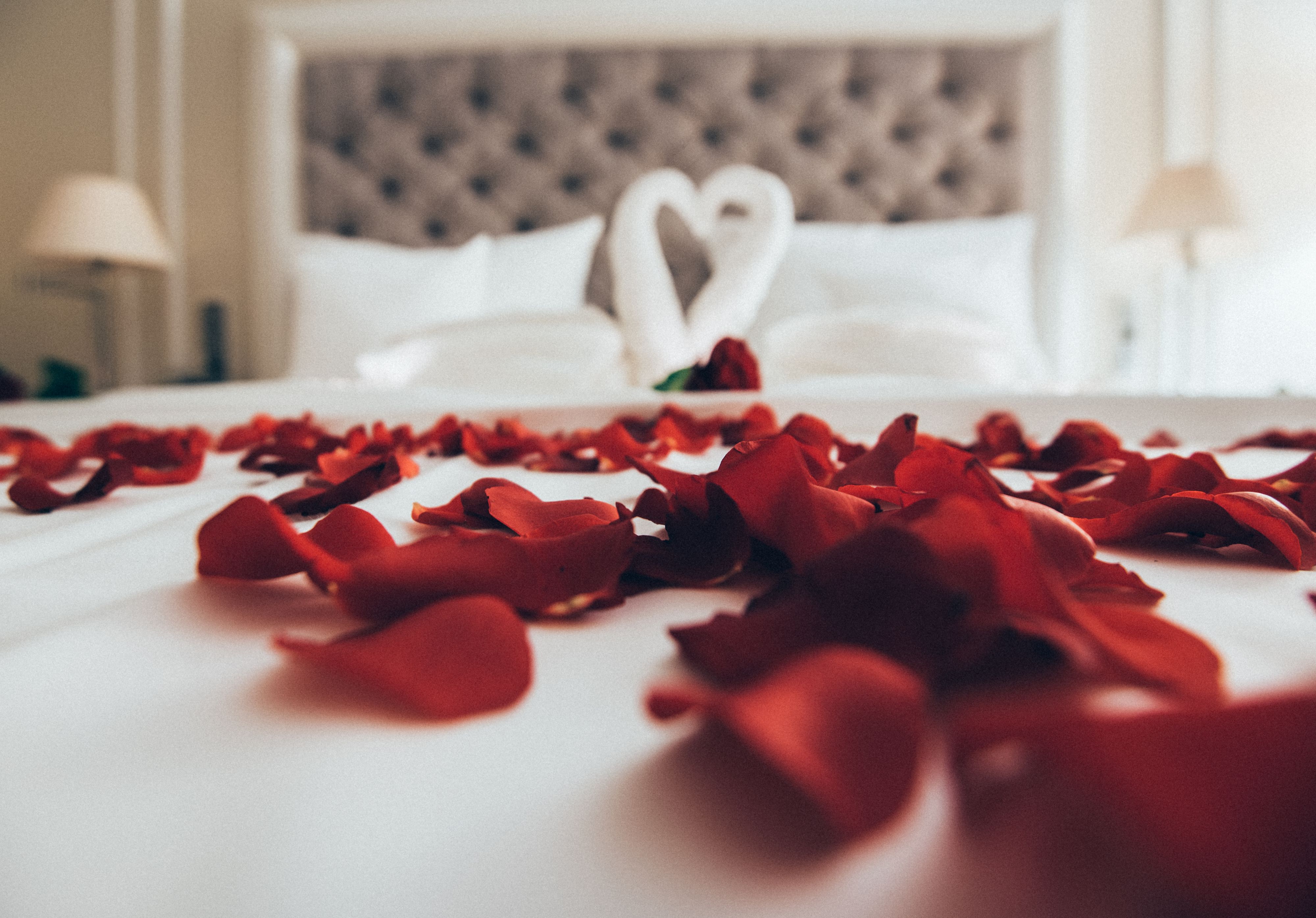 Rose petals on the bed
